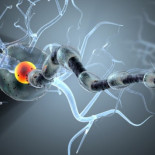 Un nuevo tratamiento que destruye el 95% de las células cancerígenas [ENG]