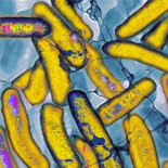 Crean ADN funcional con dos letras adicionales [ENG]