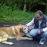 Doce horas acompañando a un perro abandonado