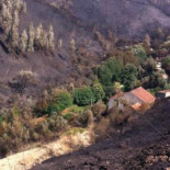 Incendio de Pedrógão Grande. Finca rodeada de robles y castaños escapó al fuego (Pt)