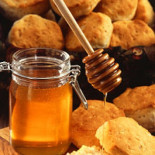 ¿Por qué la miel mata a las bacterias?