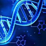 Influencia y proyección genética: lo que haces y lo que piensas puede cambiar quién eres