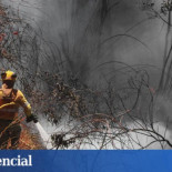 Así se recupera un monte tras un incendio: inversión, árboles y millones de litros de agua