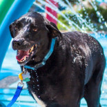 La prueba de que deberíamos vivir cada día como si fuera el último (ENG)