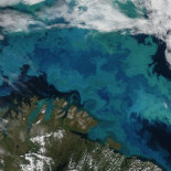 Virus marino del fitoplancton que está cambiando la atmósfera