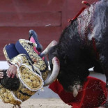 Matar a la familia del toro que mate a un torero