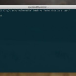 Shellshock - La nueva vulnerabilidad para OS X y Linux calificada 10/10