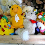 Un niño se deshace de seis peluches para reducir los gastos de su empresa imaginaria