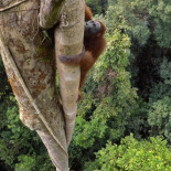 Las mejores fotografías de National Geographic de 2016