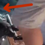 Temiendo por su vida, esta foca se subió a la lancha