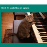 Este sorprendente algoritmo de Microsoft es capaz de describir lo que pasa en tus fotos