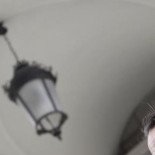 Iglesias pide amparo a Dastis por "calumnias" de Israel contra Podemos