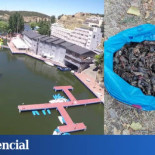 El escándalo menos conocido de Jesús Gil es un inocente embalse recreativo en Los Ángeles de San Rafael (Segovia) que…