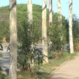 Las dos jóvenes desparecidas y encontradas maniatadas en Barcelona confiesan que lo habían simulado todo [CAT]