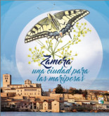 Destruyen una importante colonia de avión común