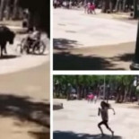 Un toro embiste a una niña en silla de ruedas y... obra un milagro