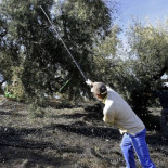 Petición de cárcel a un empresario  por no dar de alta a 90 trabajadores