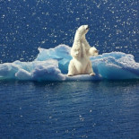Estamos perdiendo la lucha contra el cambio climático, y aun hoy hay cosas que nadie se ha preguntado