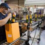 El Gobierno frena el cava extremeño y la Junta avisa que recurrirá la limitación