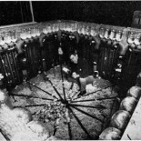 Cómo los ratones convirtieron su paraíso privado en una terrible distopía [ENG]