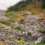 ¿Puedes ver al francotirador en estas fotos?