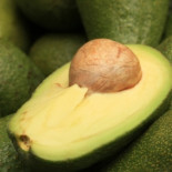 Los primeros aztecas salvaron al aguacate de extinguirse con los dinosaurios