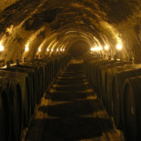 La podredumbre noble: Cuando una infección mejora un vino