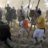 PSOE y PP rechazan que se penalicen las fiestas que maltratan animales