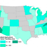 Granjas solares, un nuevo refugio para abejas con beneficios a la agricultura (ENG)