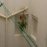 El poder de la mierda