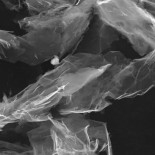 Grafeno transparente y flexible: la piel de los robots del futuro