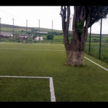 Pepe Gotera y Otilio: se gastan 15.000 euros en un campo de fútbol... y dejan un árbol gigantesco en el medio