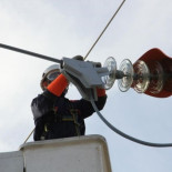 Técnicos españoles desarrollan un sistema para evitar que las aves se electrocuten en tendidos eléctricos