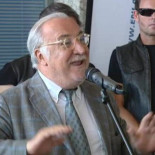 El director de la DGT dice que España "haría el ridículo" si se anula ahora Madrid Central