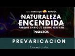 Naturaleza Encendida - Master class de prevaricación en el Tierno Galvan de Madrid - YouTube