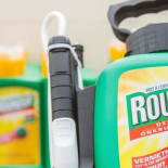 El ecologismo no científico: religión envuelta en verde