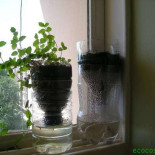 Autoriego para macetas, fácil y barato