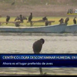 Conoce al científico que descontaminó gratis una laguna natural