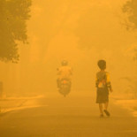 El mayor desastre ecológico del siglo y por qué no sabías que estaba sucediendo