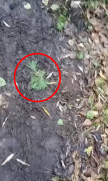 Una de las razones del lento avance de las fuerzas armadas rusas en la guerra de Ucrania