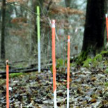 Hallan restos de una desconocida y crucial batalla entre germanos y romanos en el siglo III