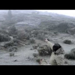 La asociación "Lobo Marley" en acción contra los cebaderos ilegales de lobo