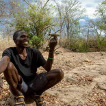 Colaboración insólita entre pájaros y humanos más profunda de lo esperado