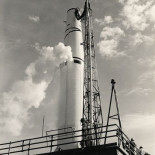 El incordiante pájaro carpintero de Cabo Cañaveral