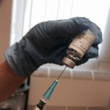 Sesenta voluntarios se inyectan parte del virus del ébola en busca de una vacuna