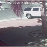 Un gato salva a un niño del ataque de un perro