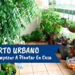 Como empezar un huerto urbano sin tener ni idea