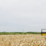 “Labradores de sofá” estrangulan el acceso de jóvenes agricultores a la tierra en Aragón