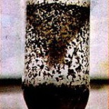 Trampa casera para mosquitos, FUNCIONA!