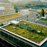 Por ley los techos en Francia deberán estar cubiertos de plantas o paneles solares